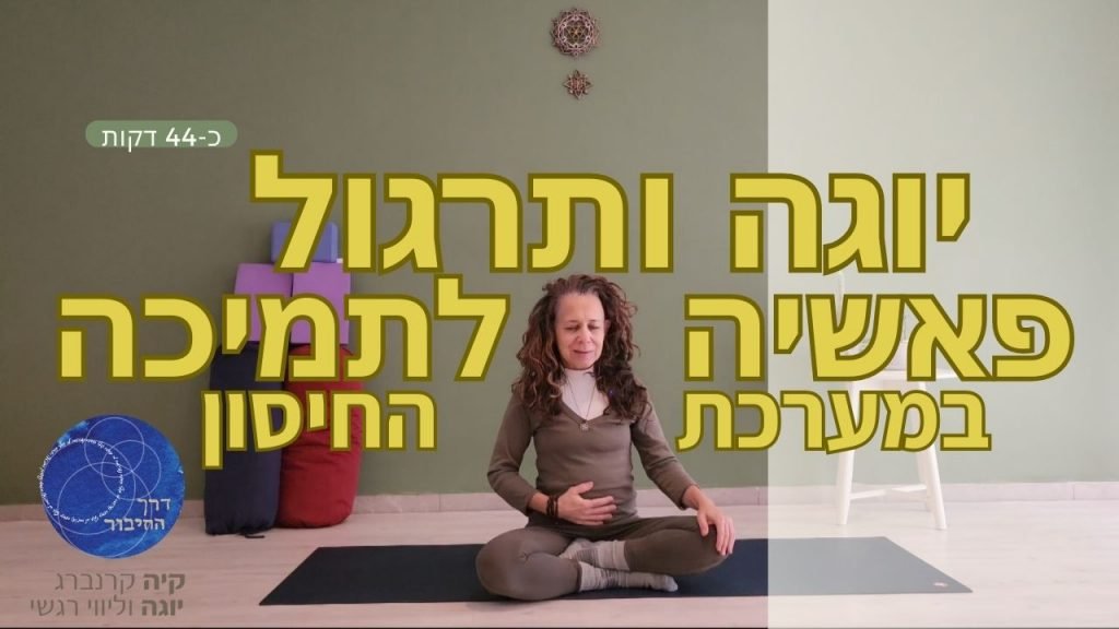 הסבר מהות הפוסט והסרטון